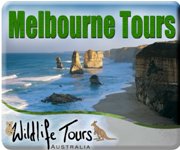 Wildlife Tours Australia